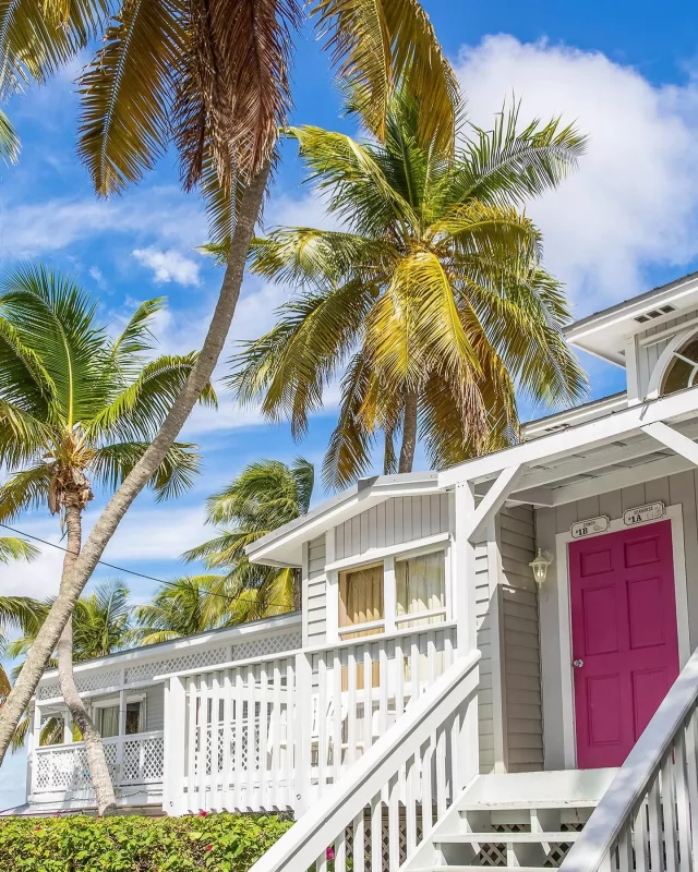 📍 Key Largo, FL

#keylargo #keylargoflorida #florida #palmtrees #travelphotography #travel #explorepage